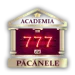 academia-de-pacanele-logo-75x75.webp